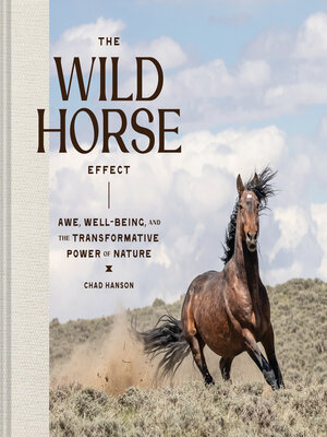 cover image of The Wild Horse Effect